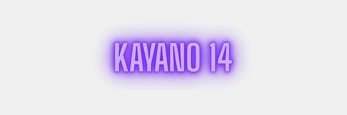 KAYANO 14